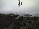 ./images/calvert/lookout/20210824/lookout20210824_092001.jpg