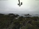 ./images/calvert/lookout/20210824/lookout20210824_093501.jpg