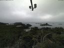./images/calvert/lookout/20210824/lookout20210824_100002.jpg