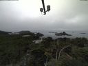 ./images/calvert/lookout/20210824/lookout20210824_100501.jpg