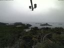 ./images/calvert/lookout/20210824/lookout20210824_101001.jpg
