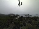 ./images/calvert/lookout/20210824/lookout20210824_102002.jpg