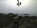 ./images/calvert/lookout/20210824/lookout20210824_104002.jpg