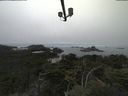 ./images/calvert/lookout/20210824/lookout20210824_104502.jpg