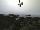 ./images/calvert/lookout/20210824/lookout20210824_105502.jpg