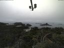 ./images/calvert/lookout/20210824/lookout20210824_111001.jpg