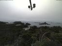 ./images/calvert/lookout/20210824/lookout20210824_111501.jpg
