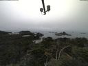 ./images/calvert/lookout/20210824/lookout20210824_112001.jpg