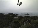 ./images/calvert/lookout/20210824/lookout20210824_114501.jpg