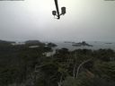 ./images/calvert/lookout/20210824/lookout20210824_115501.jpg