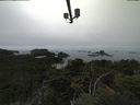 ./images/calvert/lookout/20210824/lookout20210824_130501.jpg