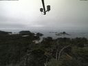 ./images/calvert/lookout/20210824/lookout20210824_133501.jpg