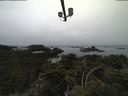 ./images/calvert/lookout/20210825/lookout20210825_095002.jpg