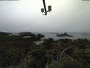 ./images/calvert/lookout/20210825/lookout20210825_095502.jpg