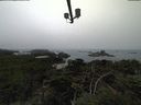 ./images/calvert/lookout/20210825/lookout20210825_100002.jpg
