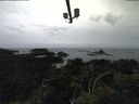 ./images/calvert/lookout/20210825/lookout20210825_130502.jpg