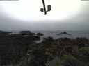 ./images/calvert/lookout/20210825/lookout20210825_145002.jpg
