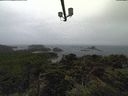 ./images/calvert/lookout/20210825/lookout20210825_151001.jpg