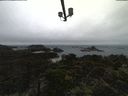 ./images/calvert/lookout/20210826/lookout20210826_104501.jpg