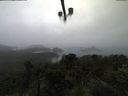 ./images/calvert/lookout/20210826/lookout20210826_114501.jpg