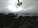 ./images/calvert/lookout/20210828/lookout20210828_153501.jpg