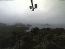./images/calvert/lookout/20210828/lookout20210828_163501.jpg