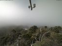 ./images/calvert/lookout/20210831/lookout20210831_114001.jpg