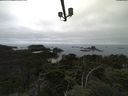 ./images/calvert/lookout/20210901/lookout20210901_102002.jpg
