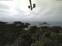 ./images/calvert/lookout/20210901/lookout20210901_113501.jpg