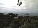 ./images/calvert/lookout/20210901/lookout20210901_115502.jpg