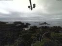 ./images/calvert/lookout/20210901/lookout20210901_165501.jpg