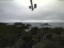 ./images/calvert/lookout/20210901/lookout20210901_171501.jpg