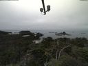./images/calvert/lookout/20210902/lookout20210902_094001.jpg