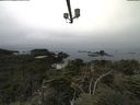./images/calvert/lookout/20210902/lookout20210902_094501.jpg