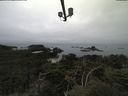 ./images/calvert/lookout/20210902/lookout20210902_102001.jpg