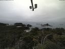 ./images/calvert/lookout/20210902/lookout20210902_102502.jpg