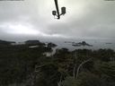 ./images/calvert/lookout/20210902/lookout20210902_105002.jpg