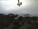 ./images/calvert/lookout/20210902/lookout20210902_111002.jpg