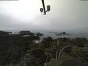 ./images/calvert/lookout/20210902/lookout20210902_120501.jpg