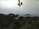./images/calvert/lookout/20210902/lookout20210902_121501.jpg