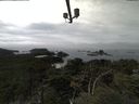 ./images/calvert/lookout/20210902/lookout20210902_141502.jpg