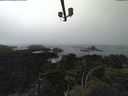 ./images/calvert/lookout/20210902/lookout20210902_144502.jpg
