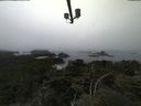 ./images/calvert/lookout/20210902/lookout20210902_145501.jpg