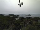 ./images/calvert/lookout/20210902/lookout20210902_150501.jpg