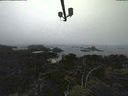 ./images/calvert/lookout/20210902/lookout20210902_161002.jpg