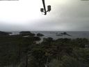 ./images/calvert/lookout/20210903/lookout20210903_111502.jpg