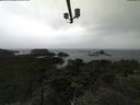 ./images/calvert/lookout/20210903/lookout20210903_114002.jpg