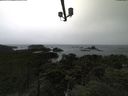 ./images/calvert/lookout/20210903/lookout20210903_114501.jpg