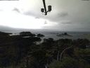 ./images/calvert/lookout/20210903/lookout20210903_150502.jpg