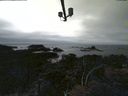 ./images/calvert/lookout/20210903/lookout20210903_155501.jpg